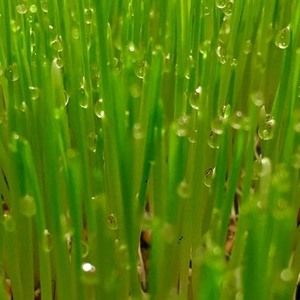 Meet your Posher, D marie